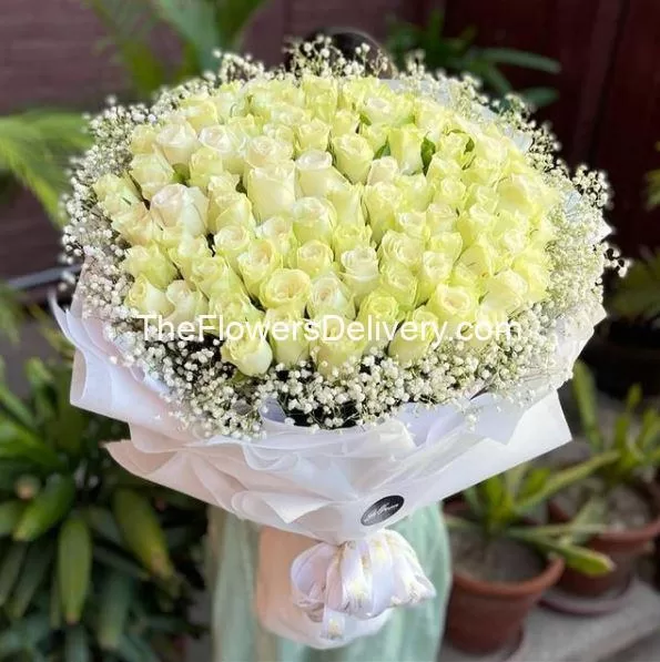 White Roses Delivery Pakistan - TheFlowersDelivery.com