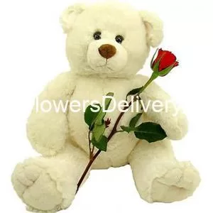 Valentine Rose & Teddy Pakistan - TheFlowersDelivery.com