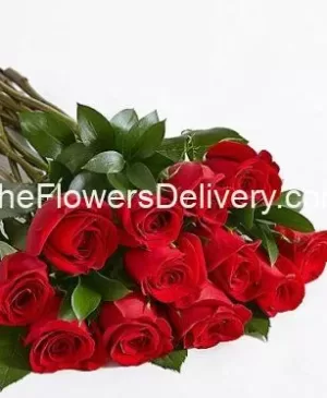 Premium Red Roses For Father