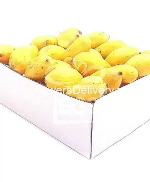 5KG Sindhri Mangoes In Box