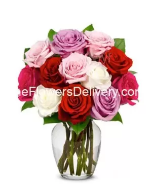 Premium Sweetheart Roses
