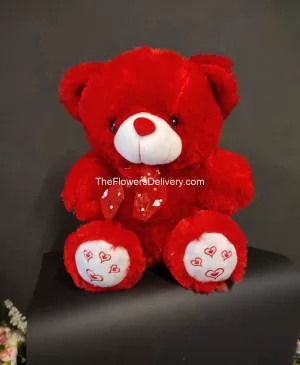 Teddy Bear Delivery Lahore - TheFlowersDelivery.com