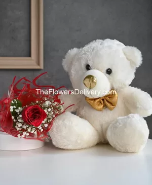 Flowers and Teddy Pakistan - TheFlowersDelivery.com