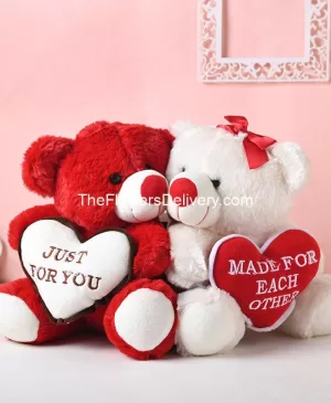 Send Valentine's Day Gift to Pakistan - TheFlowersDelivery.com