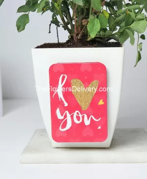 My Sweetheart-Meaningful gifts for women- theflowerdelivery.com