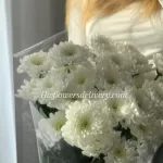 Flowers Delivery to Pakistan from France - TheFlowersDelivery.com