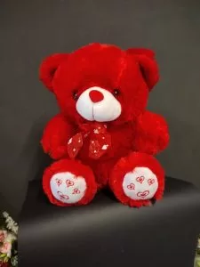 Valentine Teddy Bear - TheFowersDelivery.com