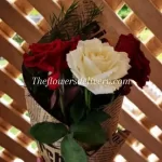 Valentine's Day Roses Pakistan - TheFlowersDelivery.com